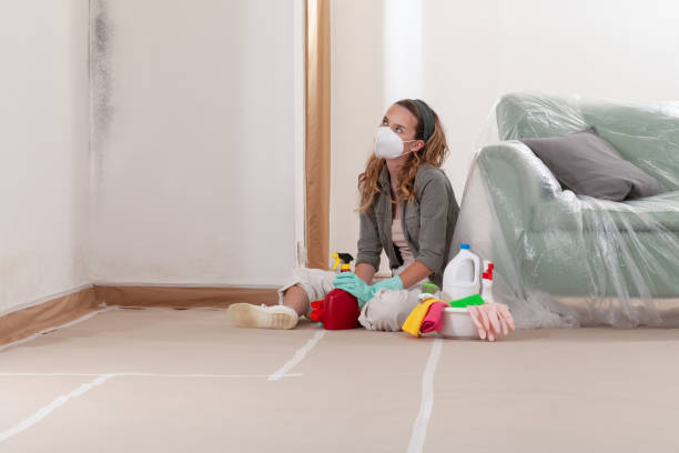Reliable Mold Testing contractor in Fayetteville, TN by WQB Mold Removal