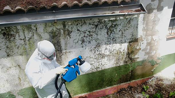 Top rated local Mold Testing specialists in Fayetteville, TN